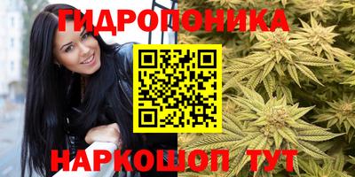 сатива Дубна