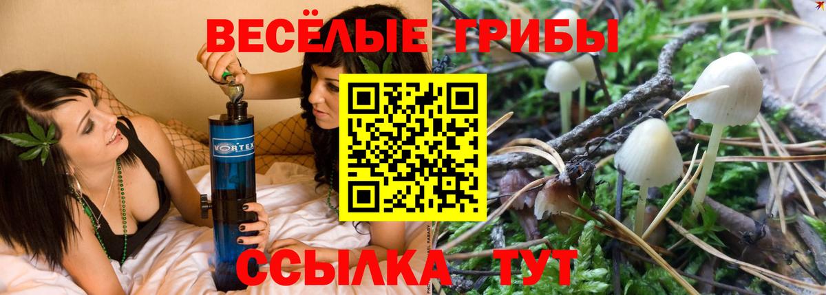 Мыски  Галлюциногенные грибы прущие грибы  Вход с VPN 